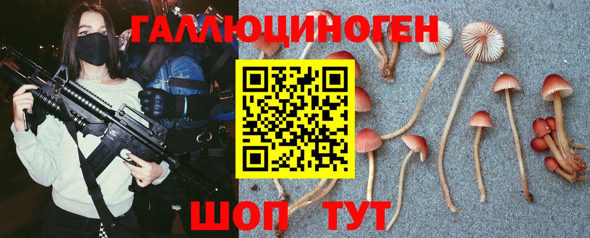 Галлюциногенные грибы ЛСД Карабулак